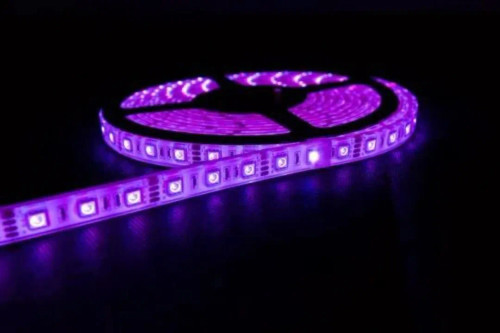 نوار LED RGBW انعطافپذیر CASALUX ۵ متری